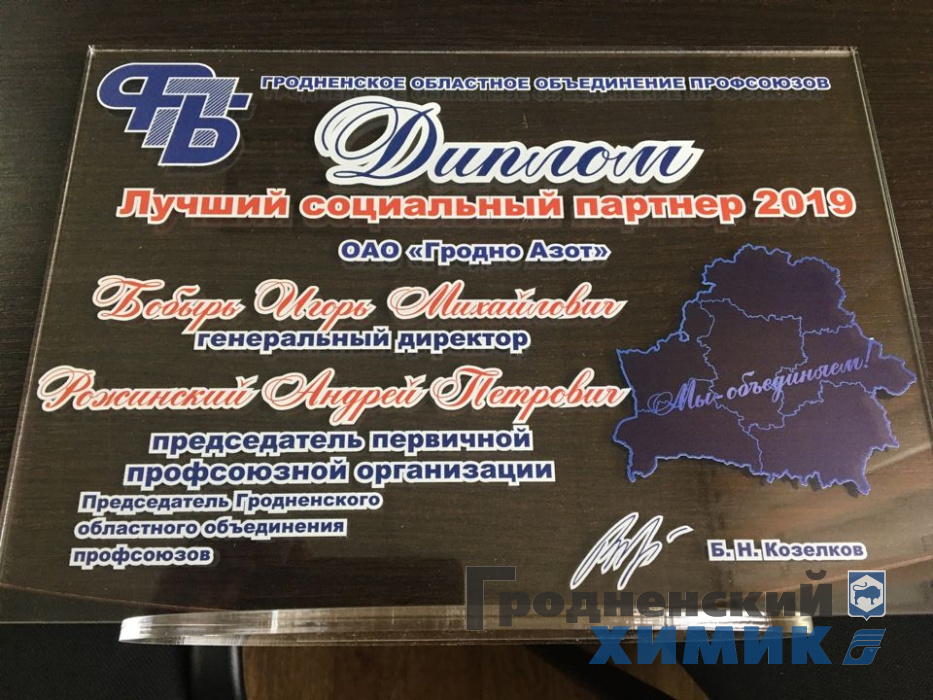 Диплом Лучший социальный партнёр.jpeg